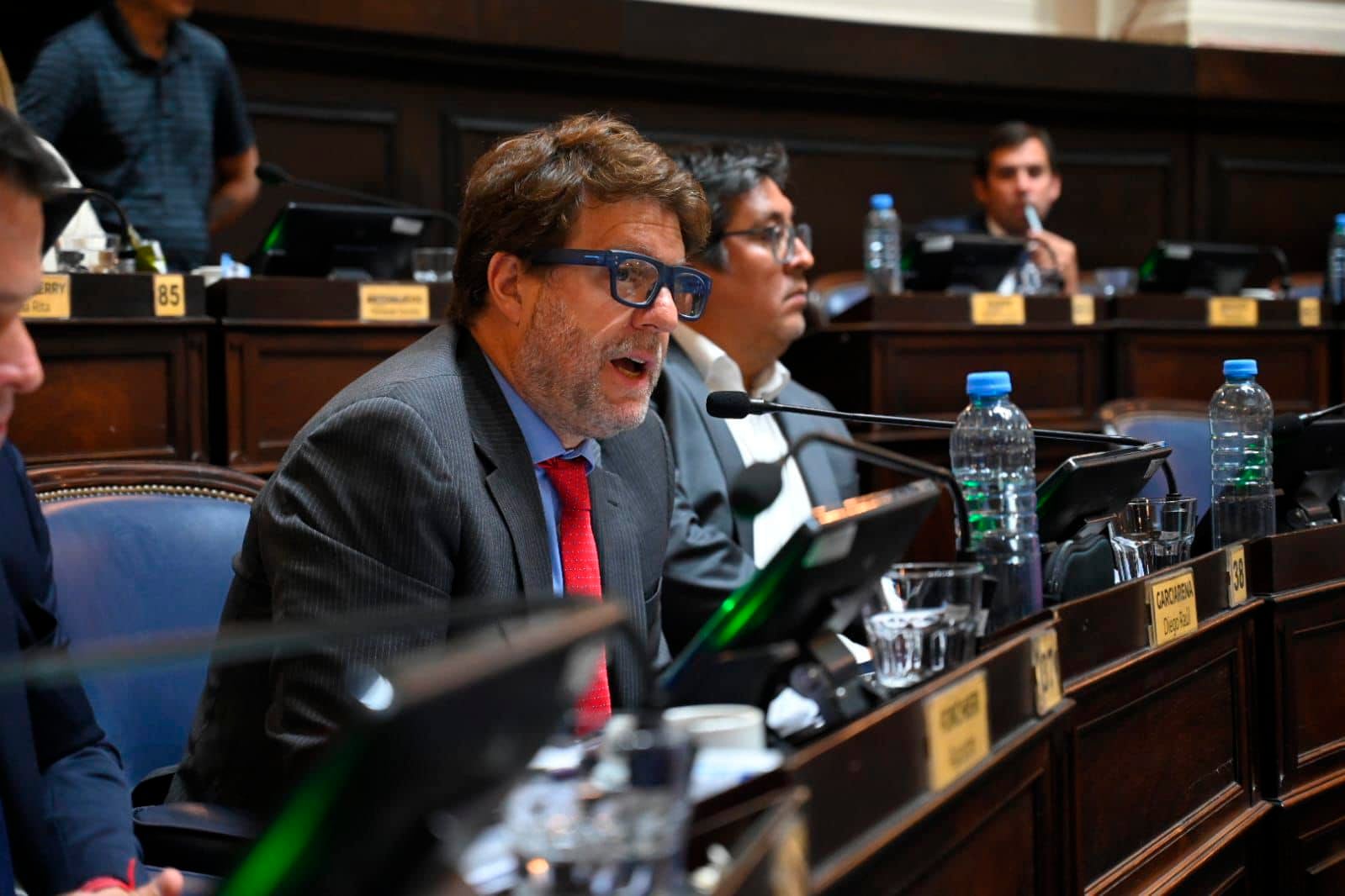 Diego Garciarena dijo que los radicales van defender a la Provincia "gobierne quien gobierne en relación a los recursos".