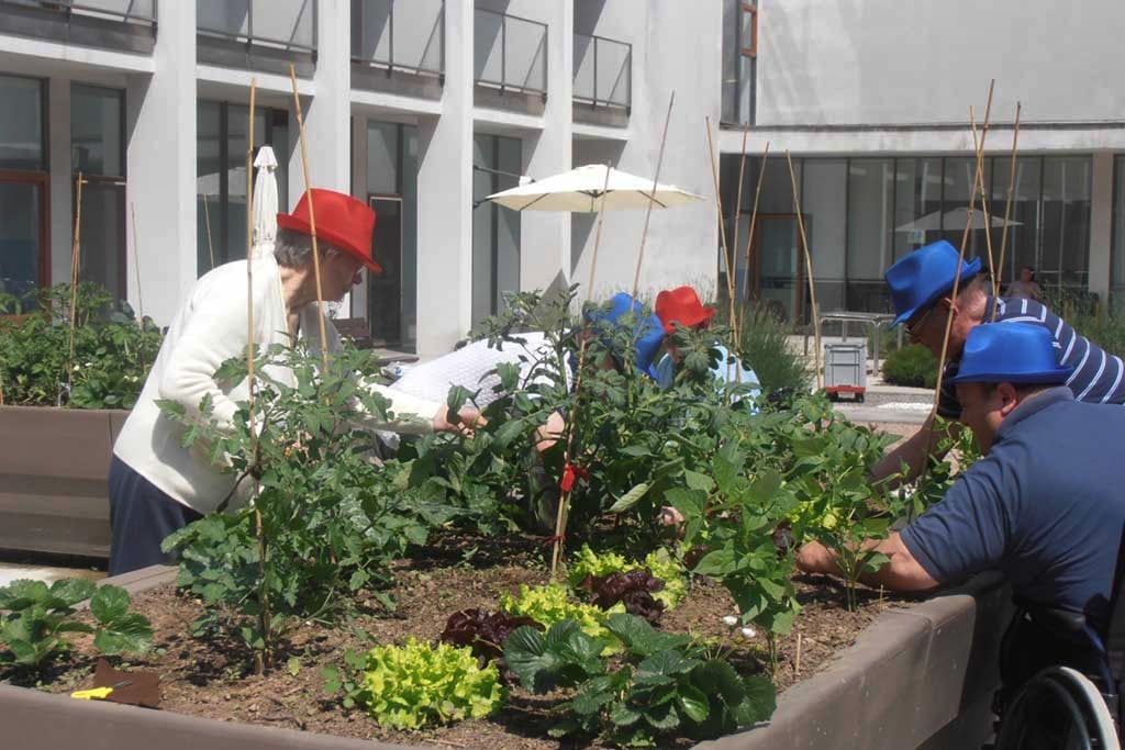 La idea de "cohousing" apunta a tender redes comunitarias. 