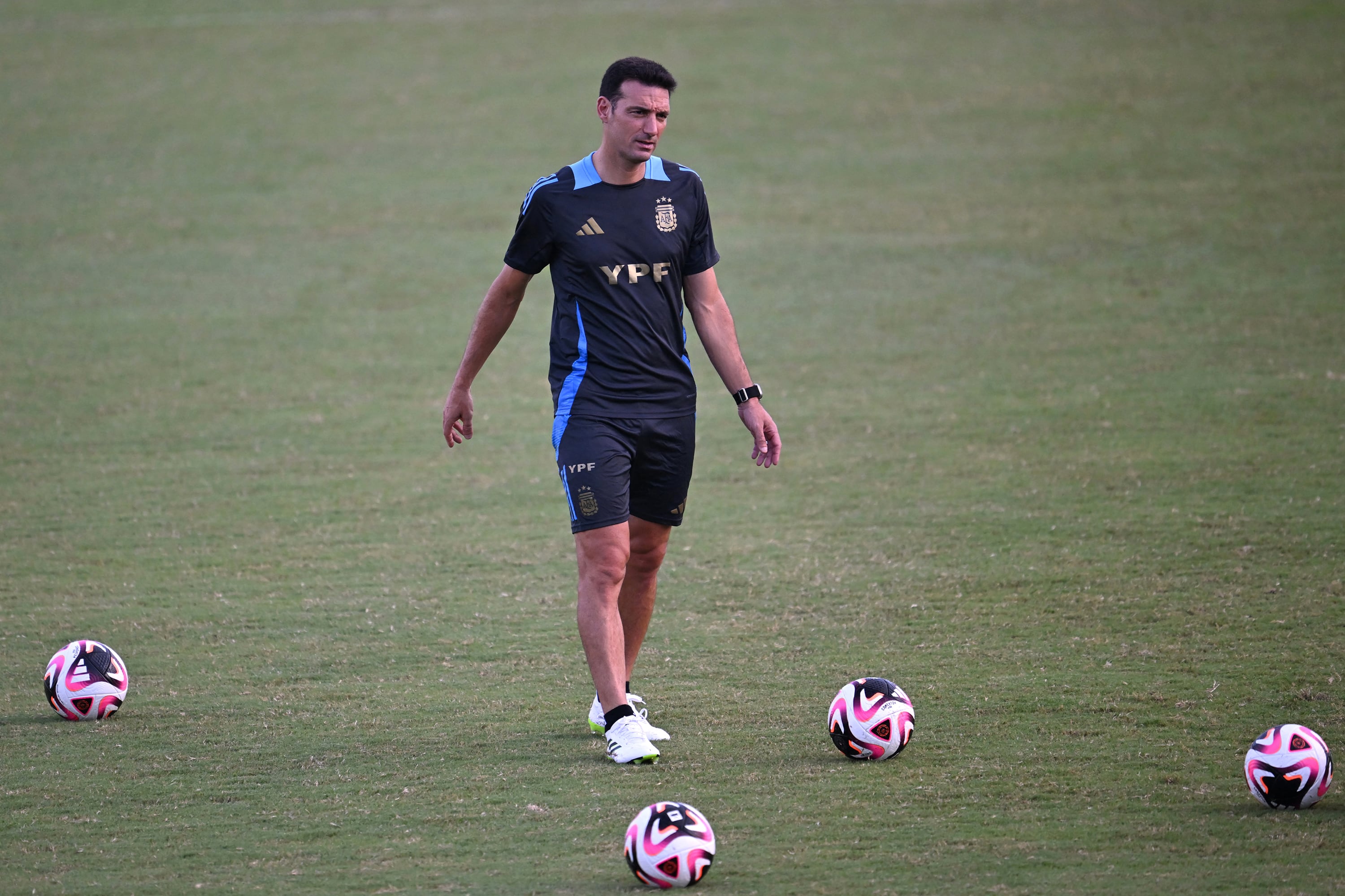El técnico campeón del mundo Lionel Scaloni