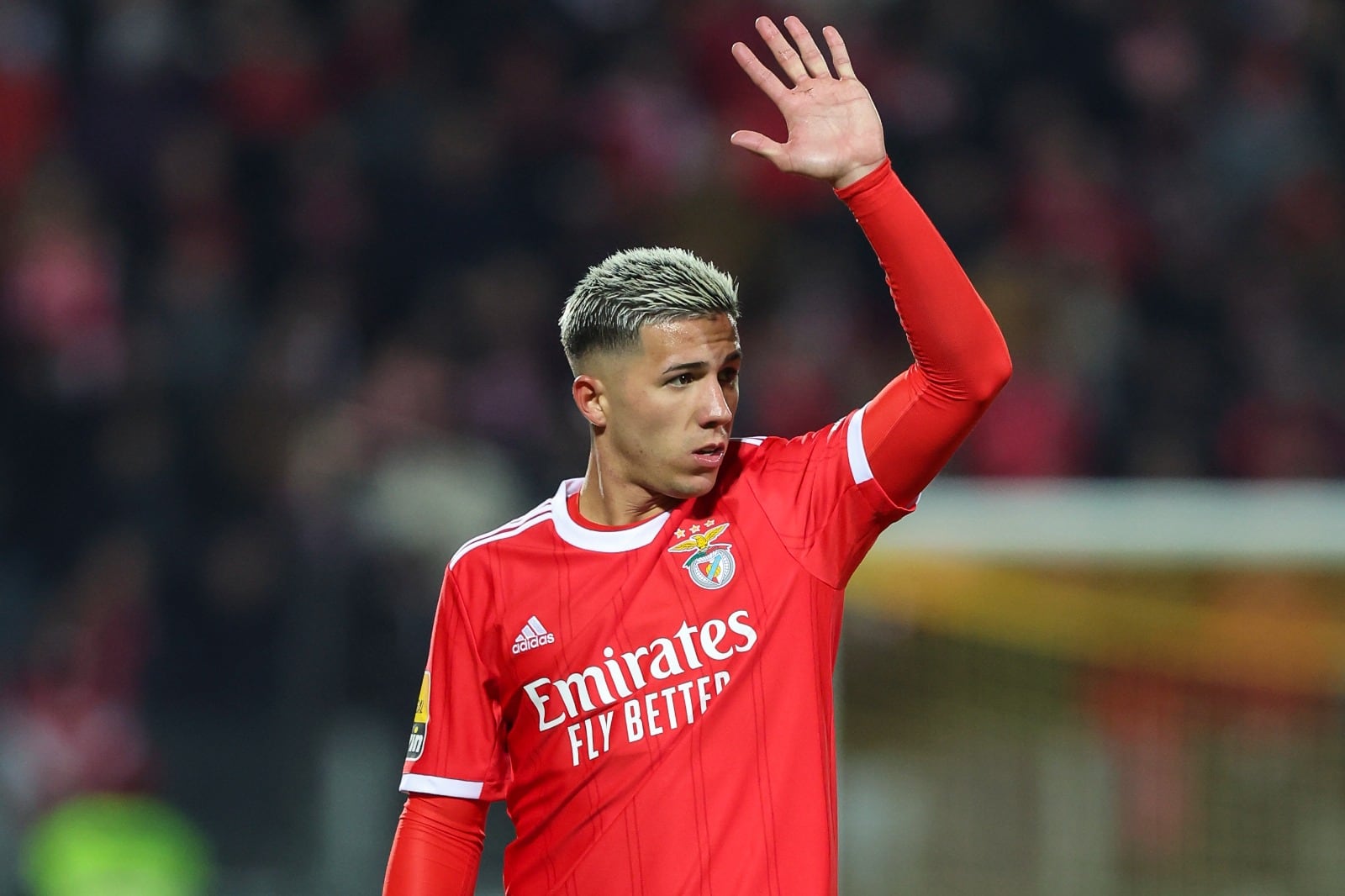 Enzo Fernández le dice adiós al Benfica