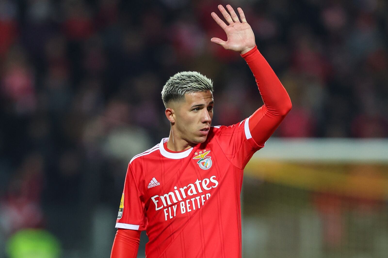Enzo Fernández le dice adiós al Benfica