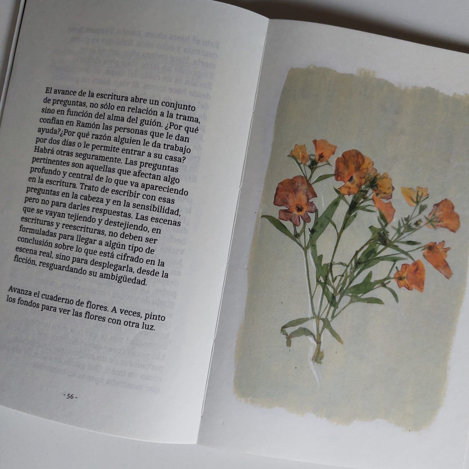 Las páginas del libro combinan reflexiones e impagenes.