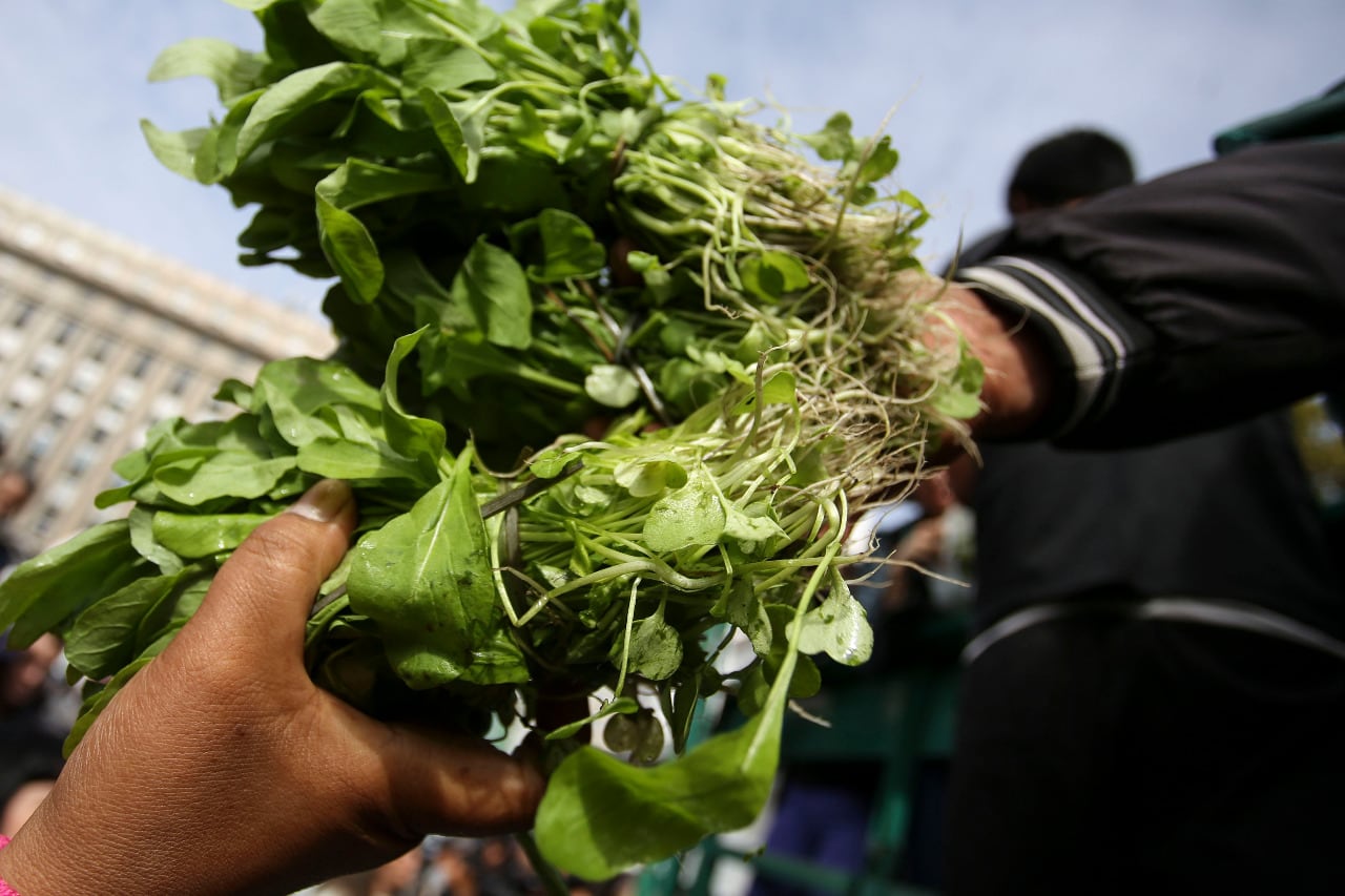 Desde el comienzo de la pandemia, la organización ha distribuido unos 70 mil kilos de mercadería.