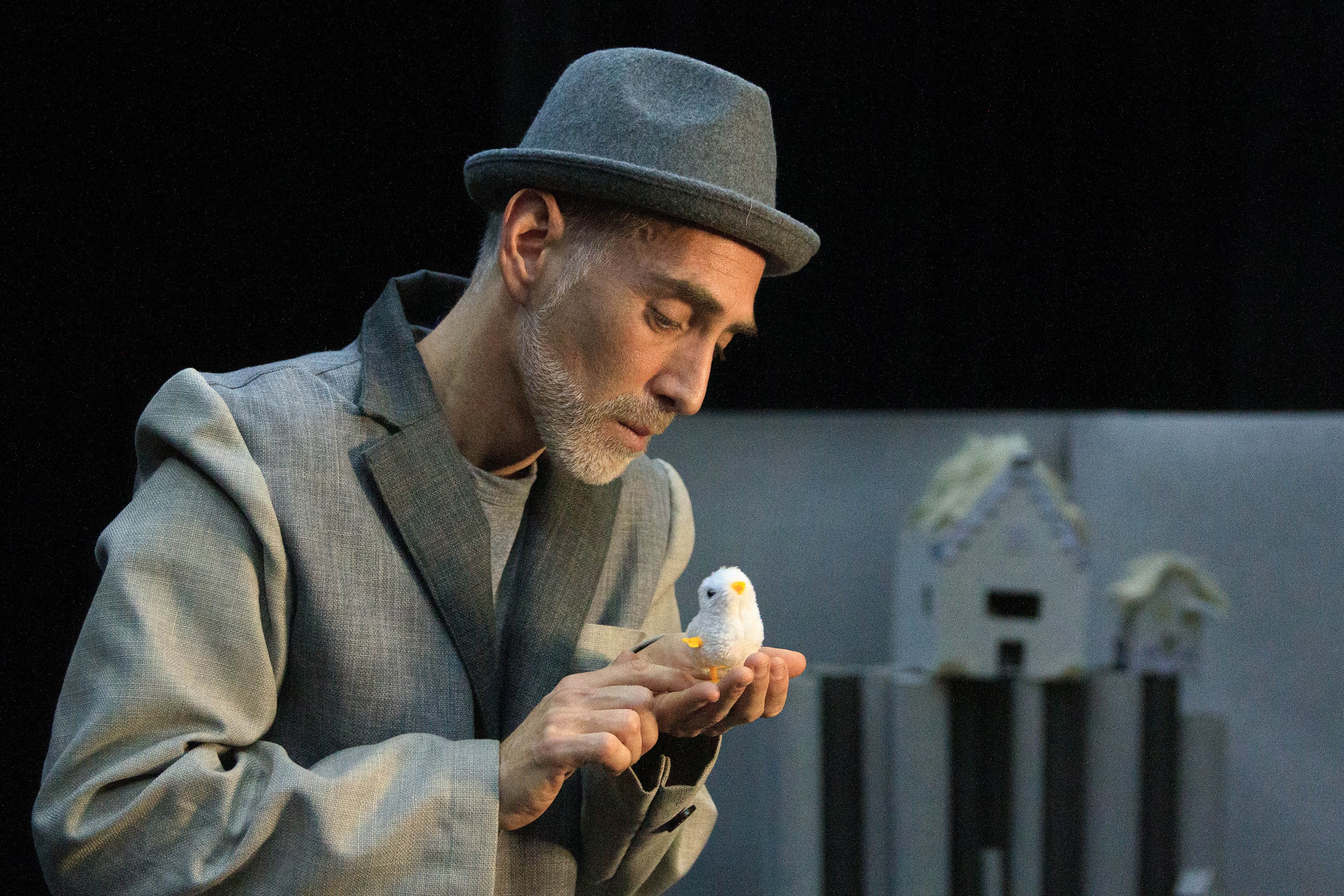 "Habitar un pájaro" puede verse los jueves en el Centro de la Cultural de la Cooperación.