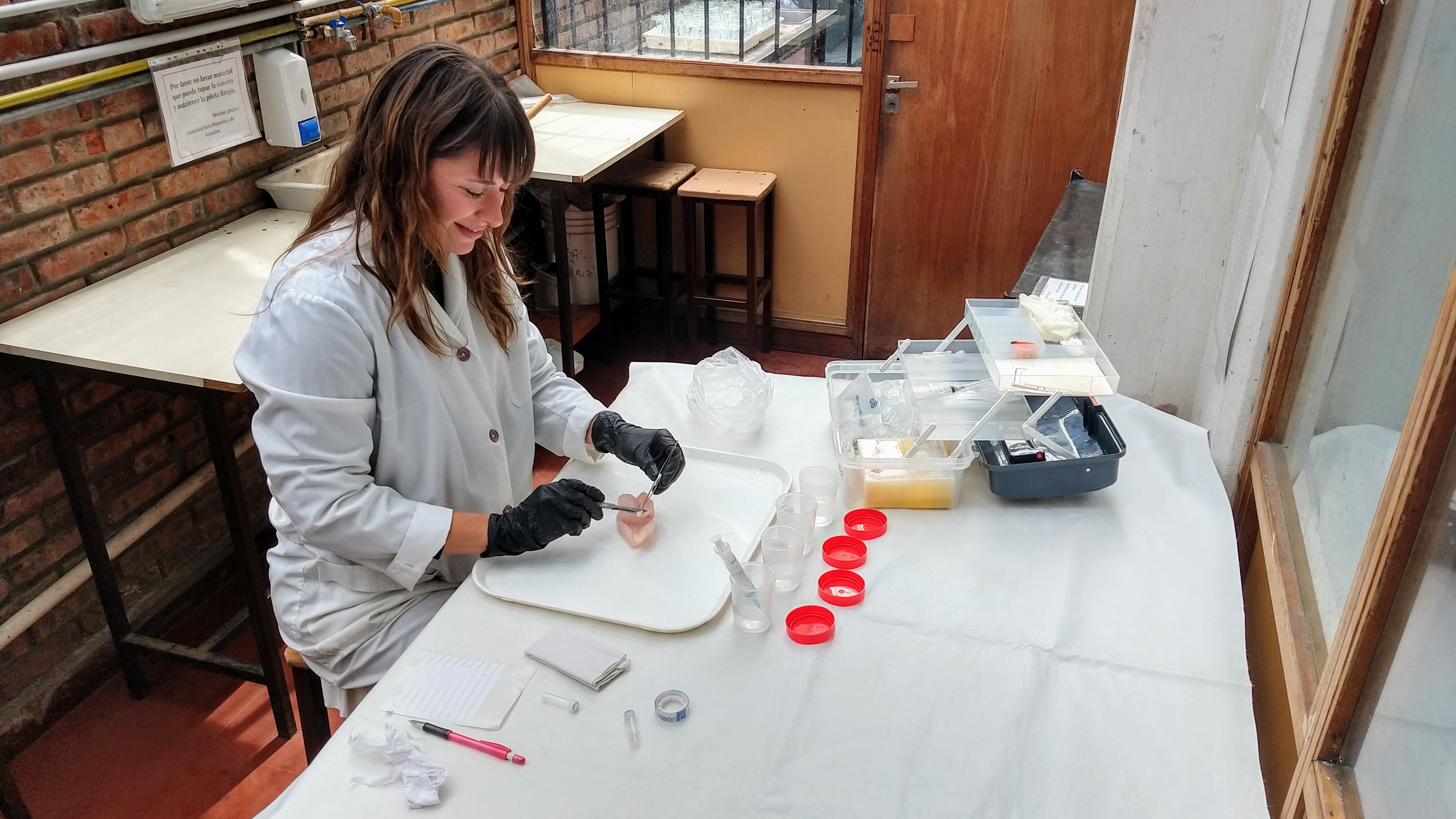 Gabriela Delpiani analiza un filet en el laboratorio.