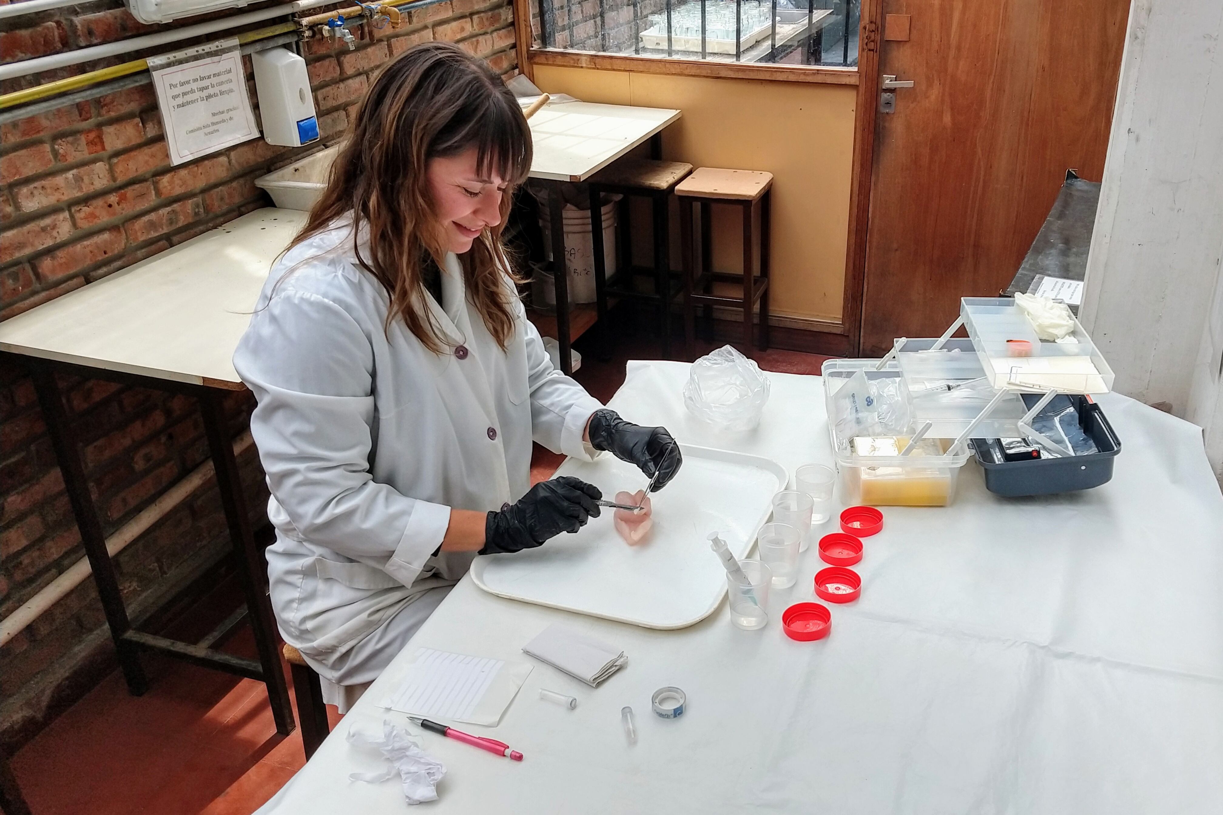Gabriela Delpiani analiza un filet en el laboratorio.