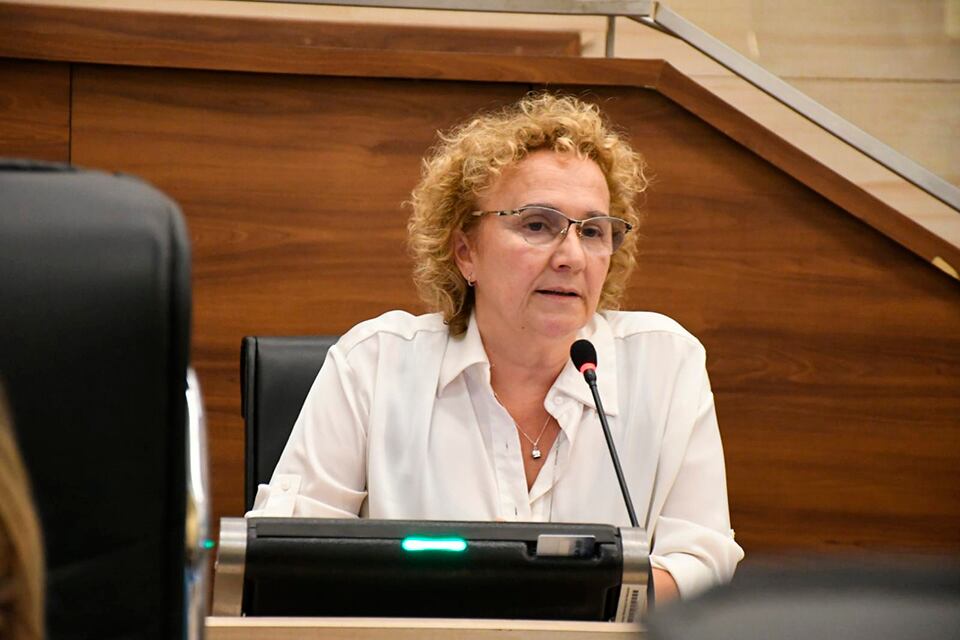 Concejala Alicia Pino, autora de la iniciativa.