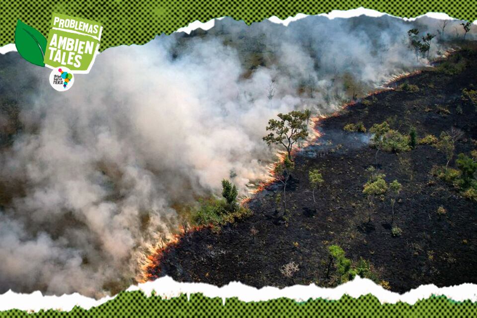 En los últimos cuatro años la Amazonia brasileña perdió 45.586 kilómetros cuadrados.