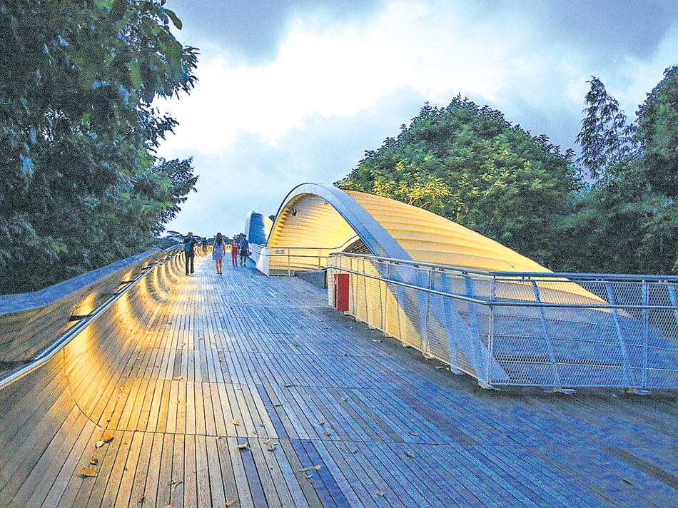 Henderson Waves, un puente envuelto en vegetación que genera la ilusión de una ola.