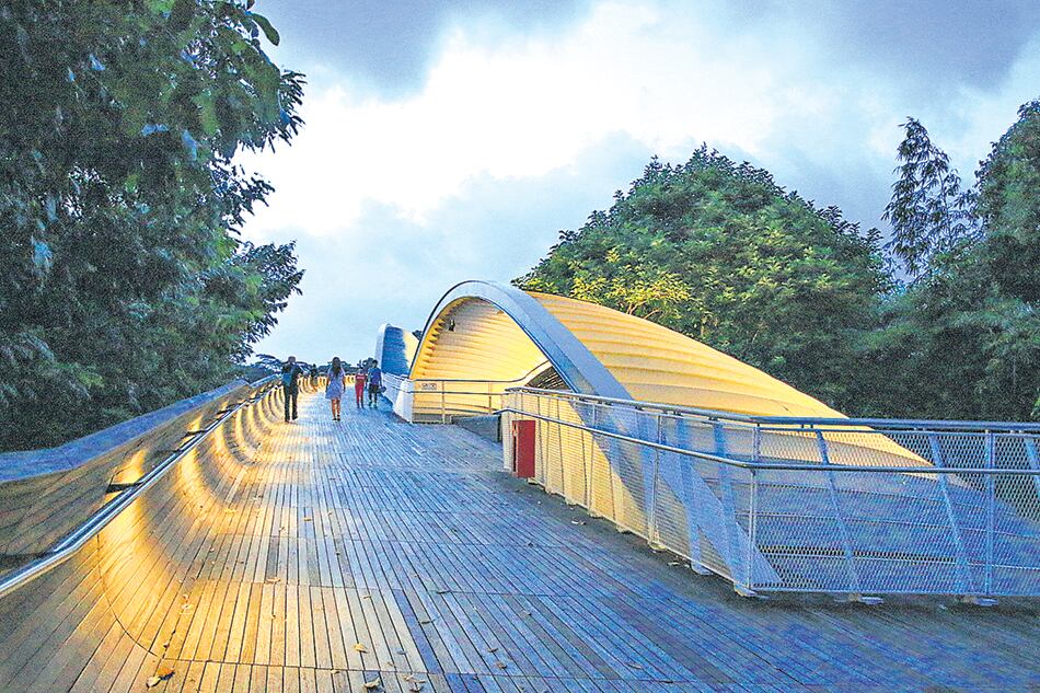 Henderson Waves, un puente envuelto en vegetación que genera la ilusión de una ola.