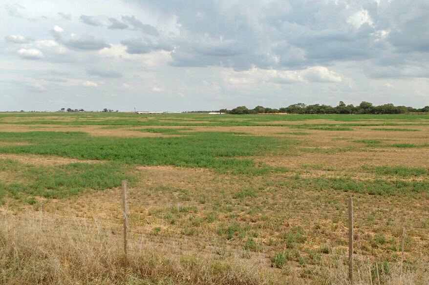 El país atraviesa la seca más grande en 60 años