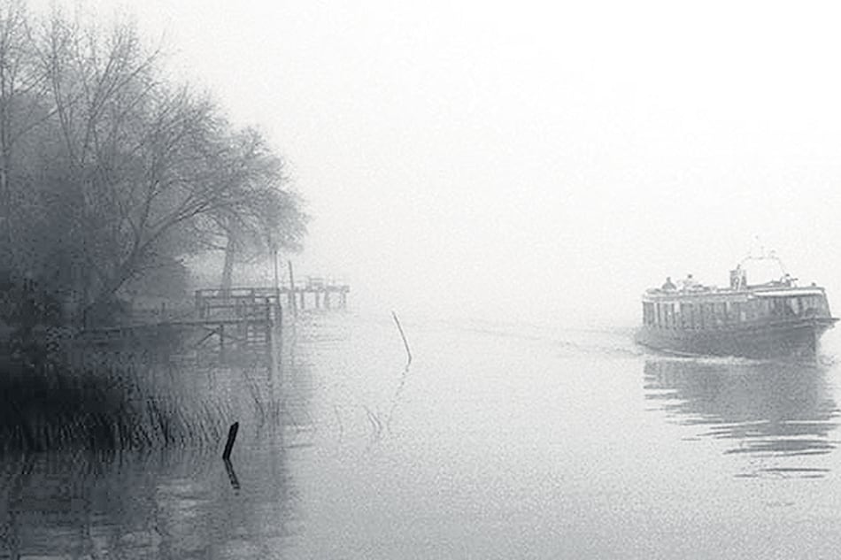 Lancha colectiva, Silvia Sergi