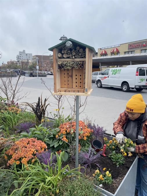 Las abejas tienen menos hábitats en las zonas urbanas y vuelan largas distancias entre los espacios verdes de las ciudades