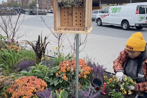 Las abejas tienen menos hábitats en las zonas urbanas y vuelan largas distancias entre los espacios verdes de las ciudades