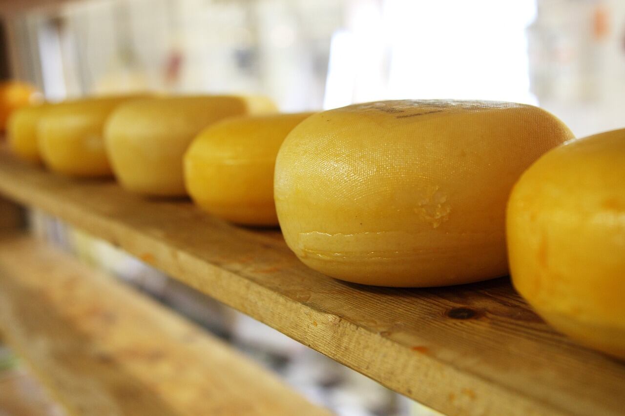 Una marca de queso sardo fue prohibida en todo el territorio nacional (Foto: Pixabay).