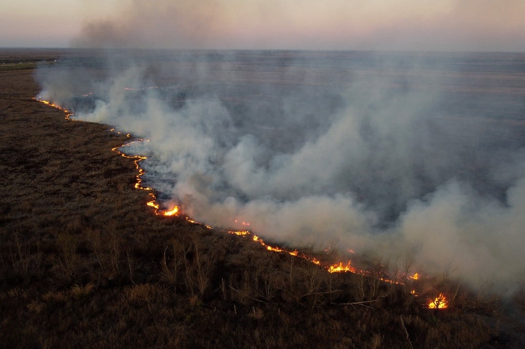 Los incendios en las islas del delta arrasaron casi un millón de hectáreas en los últimos dos años.