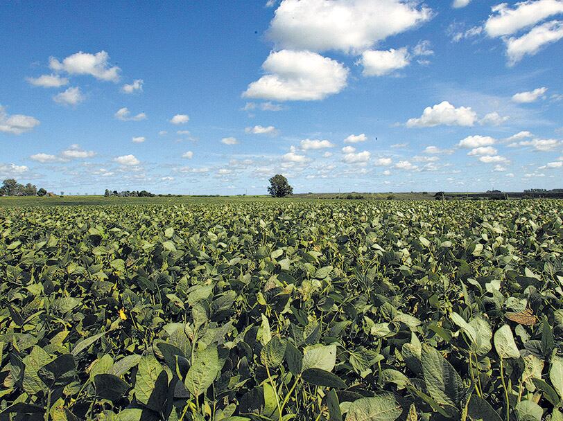 La pérdida de recursos fiscales por la eliminación de retenciones representó un punto del PIB en 2016.