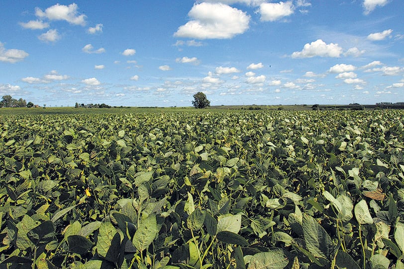 La pérdida de recursos fiscales por la eliminación de retenciones representó un punto del PIB en 2016.