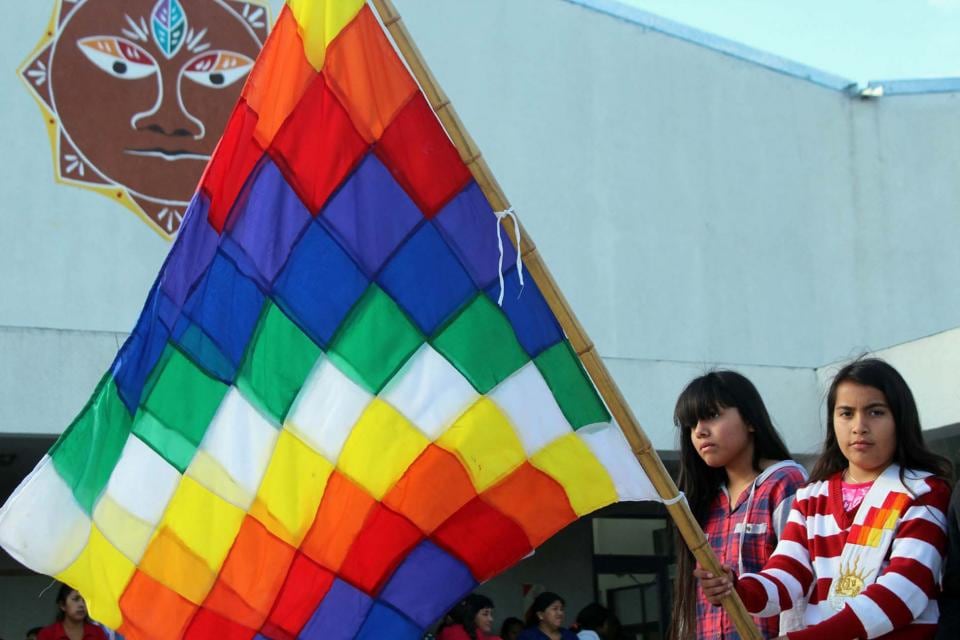 El Senado tratará la prórroga de emergencia que evita desalojos de tierras indígenas. La prórroga de este proyecto de ley es por cuatro años.