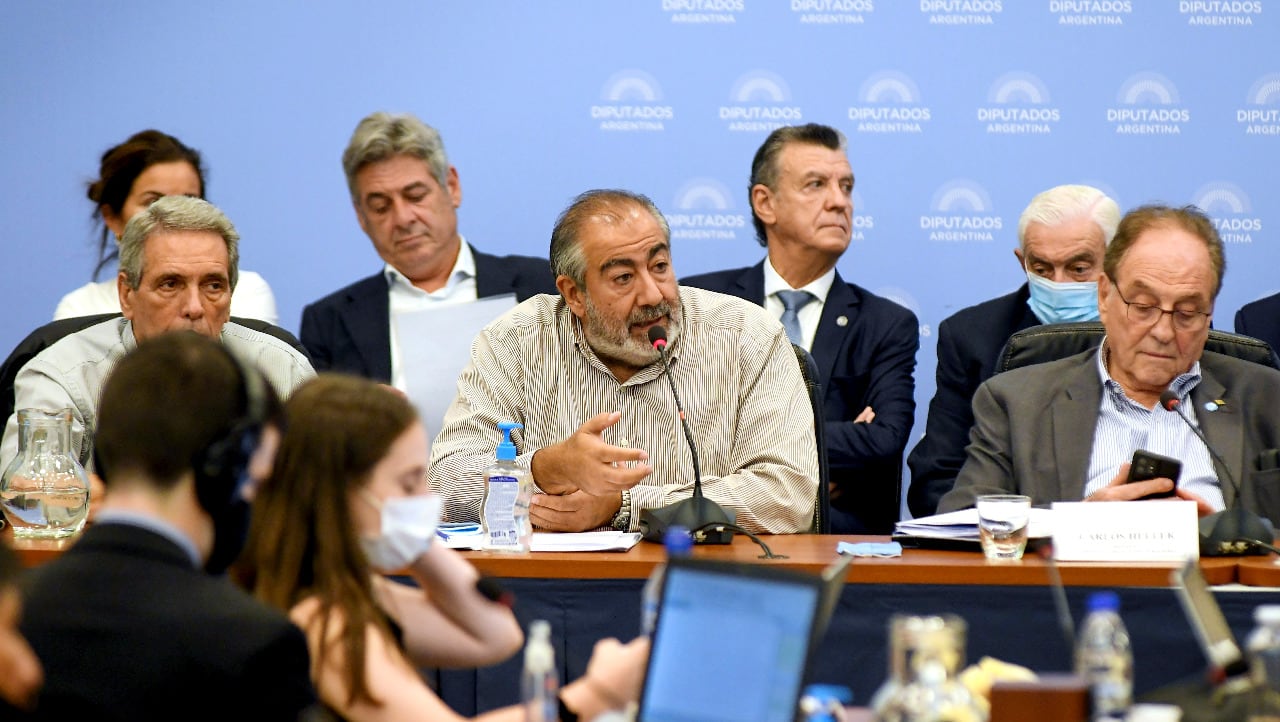 Héctor Daer presentó su postura ante el plenario en Diputados.