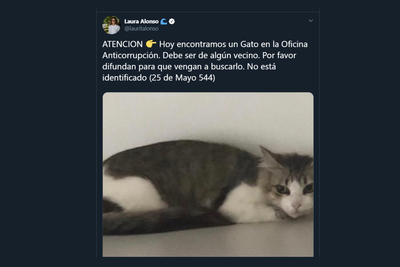 El posteo de Laura Alonso.