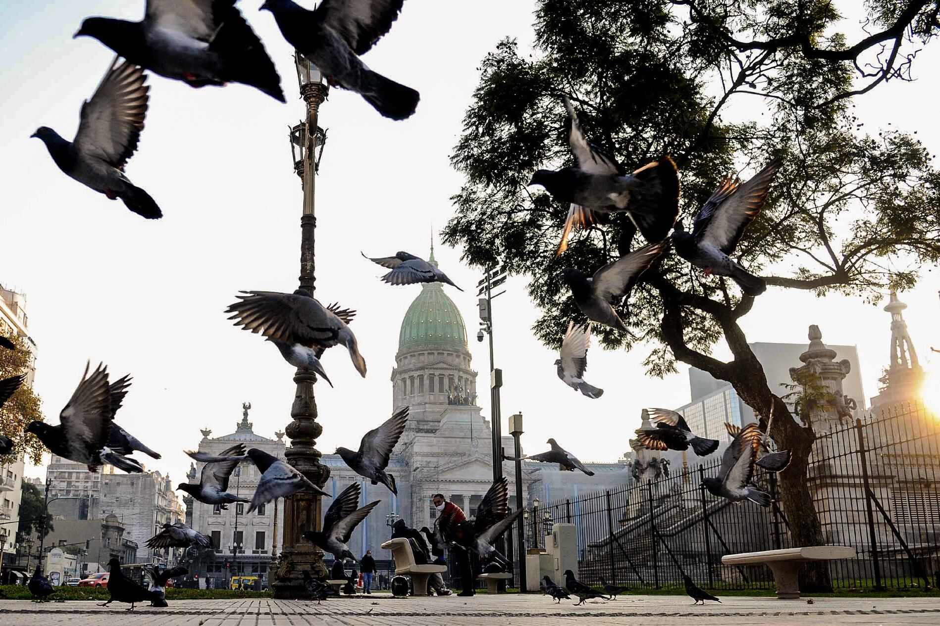 Ambas cámaras del Congreso sesionarán esta semana