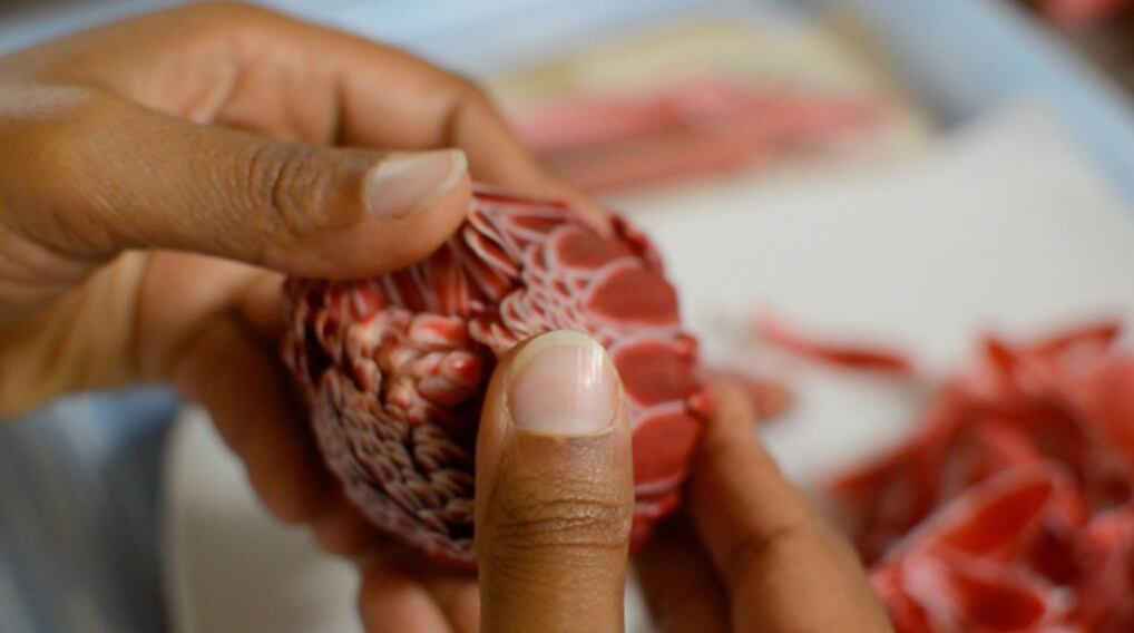 Musa de Minia Bibiany