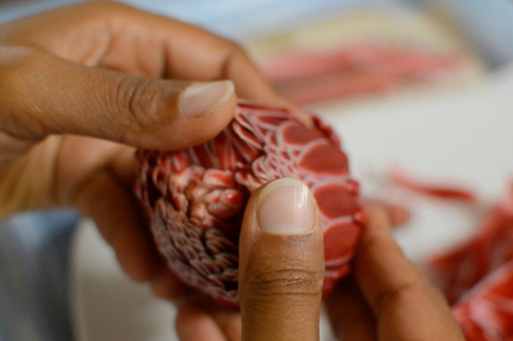 Musa de Minia Bibiany