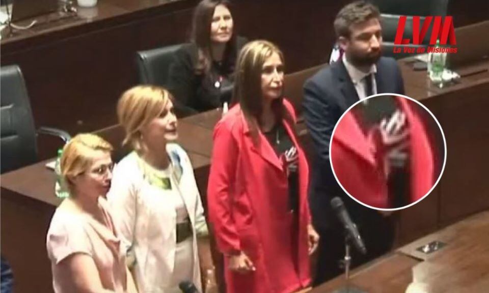 Sawicz, al momento de la jura, este viernes en la Cámara de Representantes de Misiones.