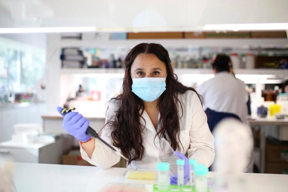 La dirigente del proyecto ArVac e investigadora del Conicet, Juliana Cassataro. Foto: Conicet.