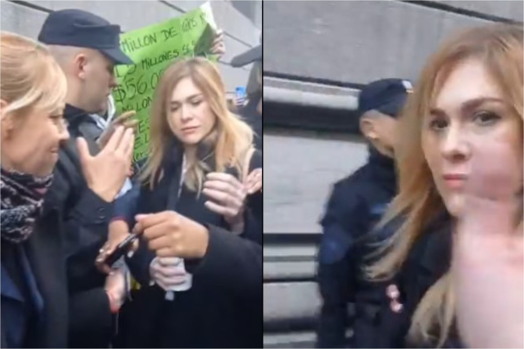 Lilia Lemoine agredió a un grupo de docentes en el ingreso al Congreso