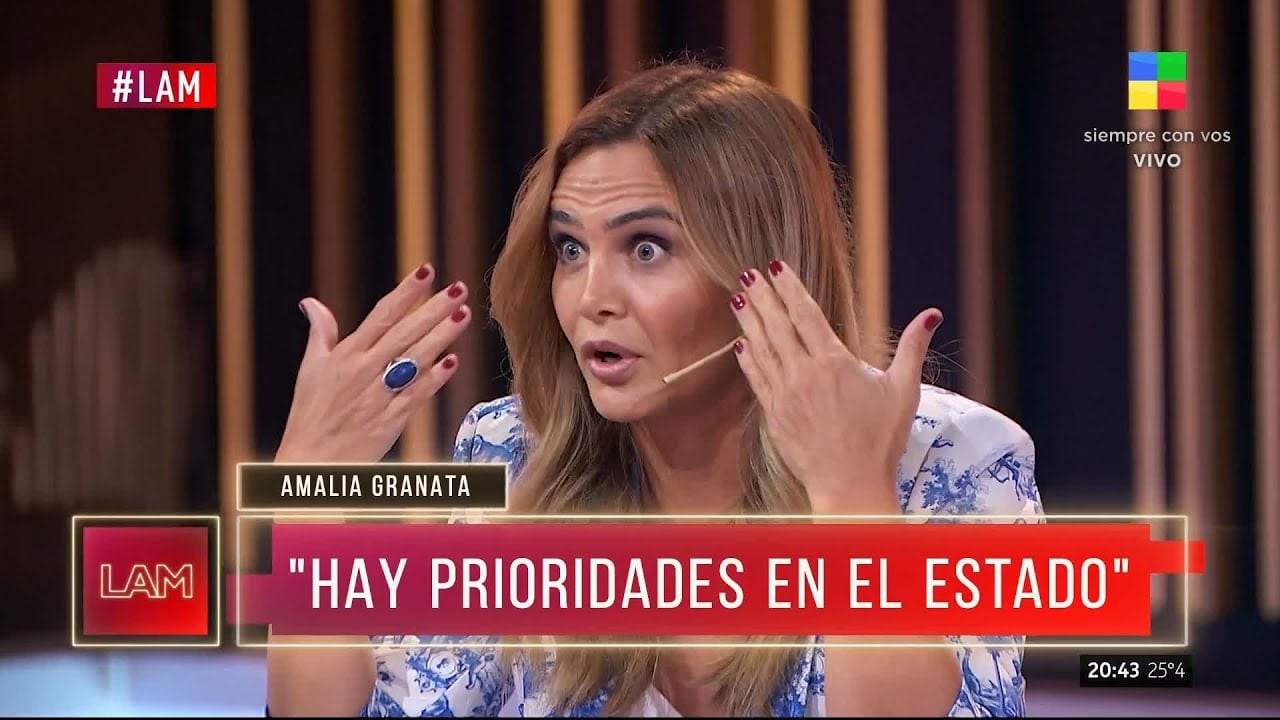 "Hay chicos que no comen, que están en la pobreza absoluta, hay prioridades", lanzó Granata