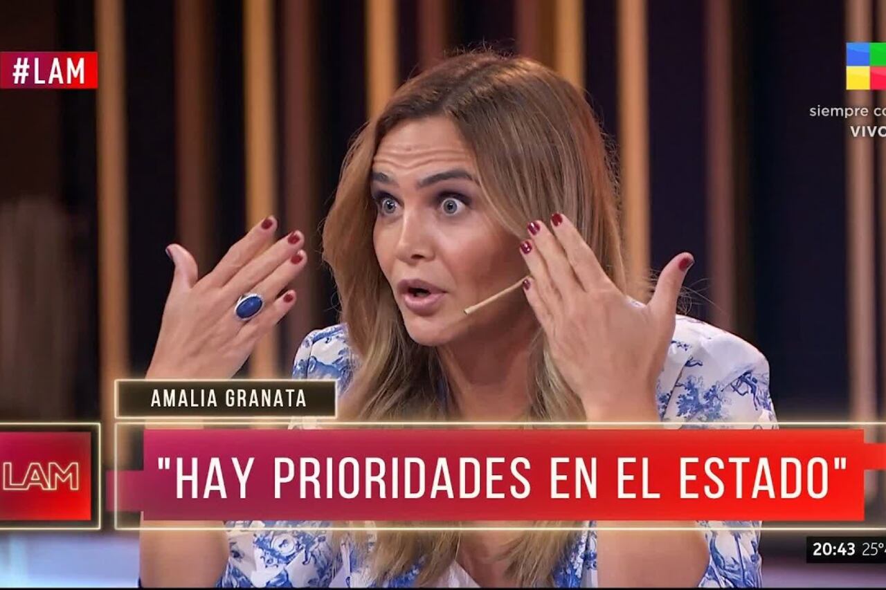 "Hay chicos que no comen, que están en la pobreza absoluta, hay prioridades", lanzó Granata