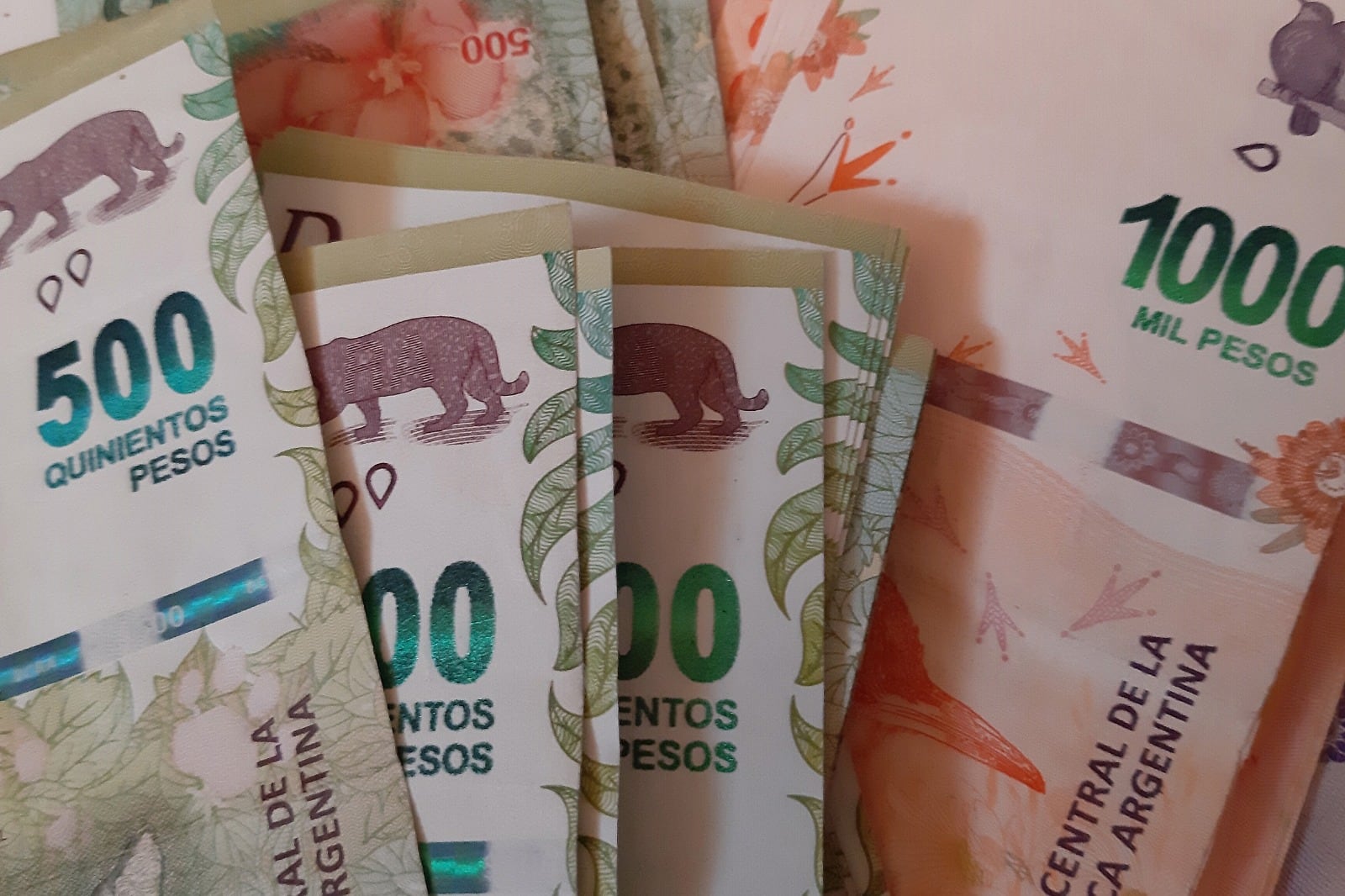La inflación del pasado se transporta hacia el futuro a partir de la actualización de contratos 