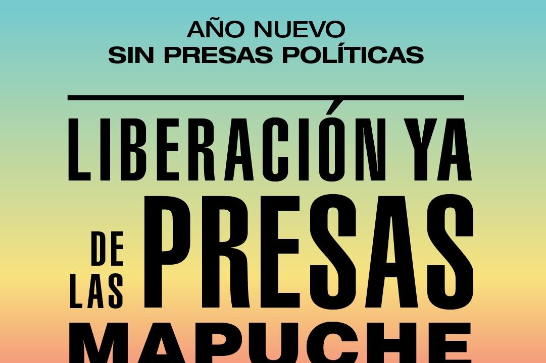 Una acción de los feminismos populares que lleva la firma de más de 30 agrupaciones sindicales, políticas, de los movimientos sociales y artísticos.