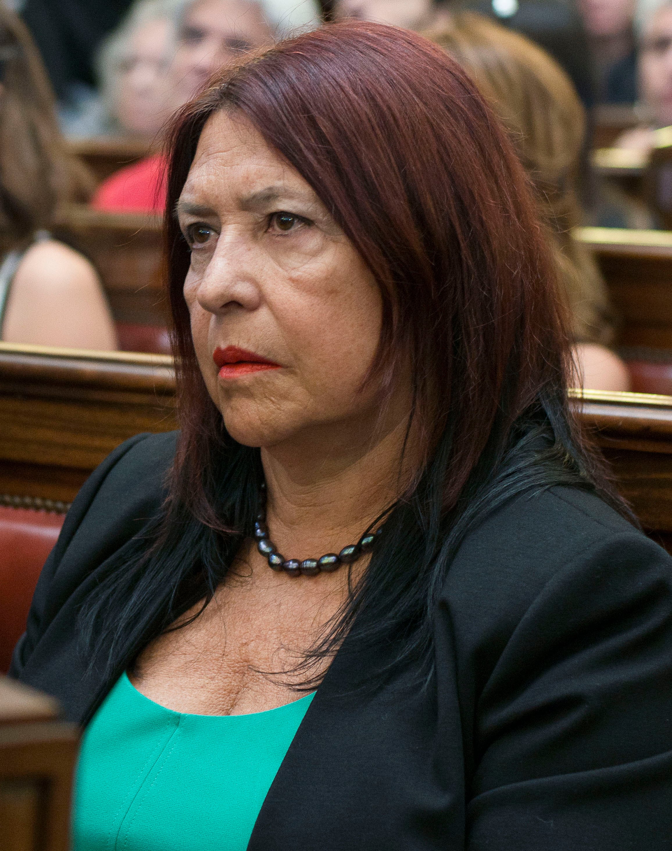 La jueza Ana María Figueroa integra la Cámara de Casación Penal que debe resolver sobre la validez de la ley del Arrepentido.