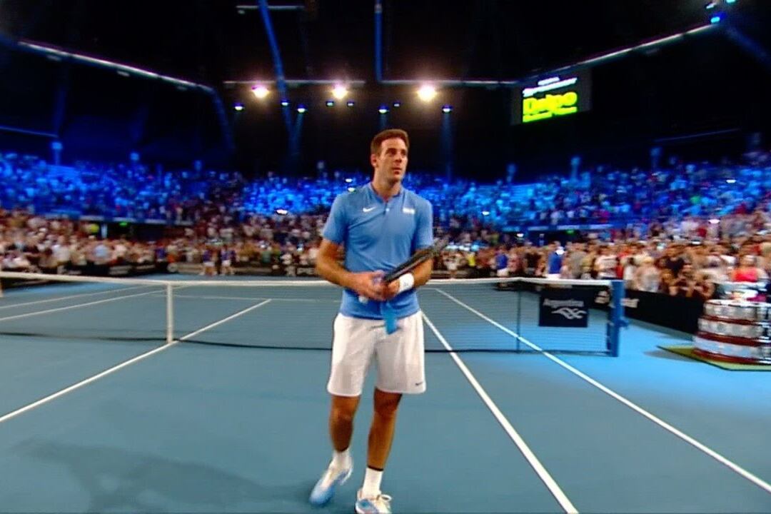 Juan Martín Del Potro