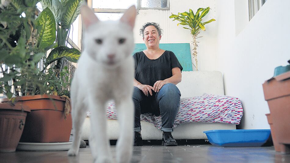 Cabezón Cámara describe las aventuras de Cleo y Qüity, del conurbano a Miami.