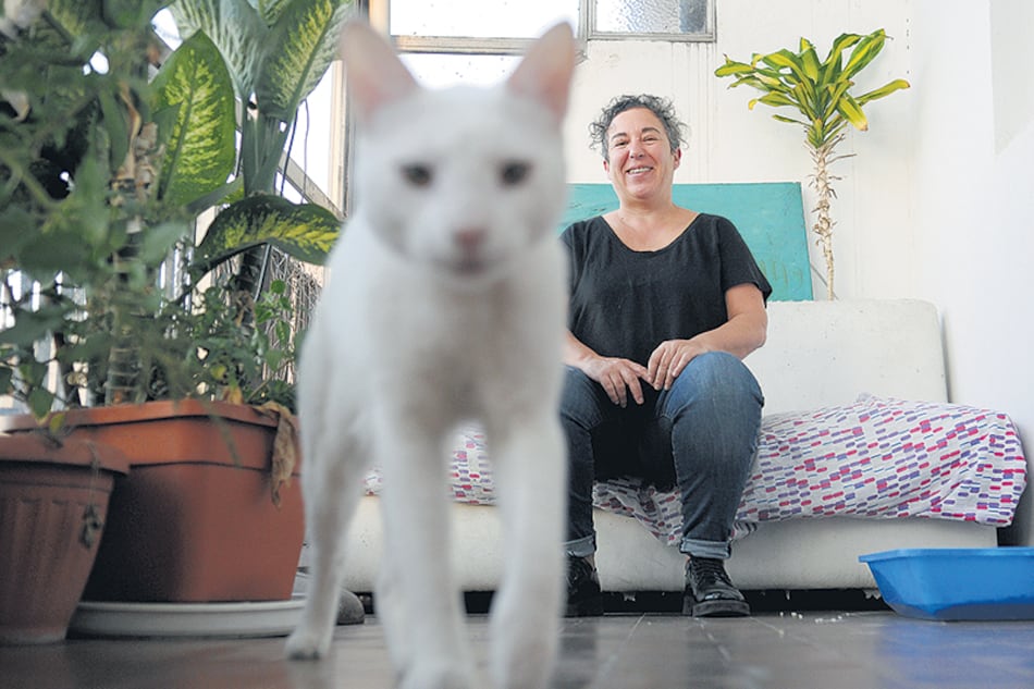 Cabezón Cámara describe las aventuras de Cleo y Qüity, del conurbano a Miami.