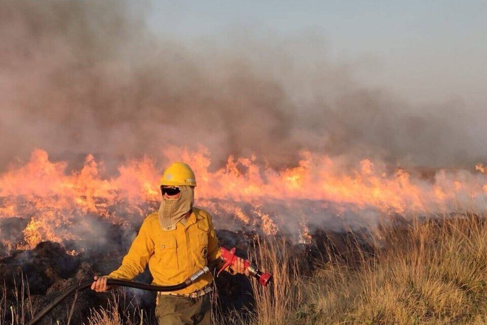Los incendios y la sequía de los primeros meses del año afectaron la producción de yerba. 
