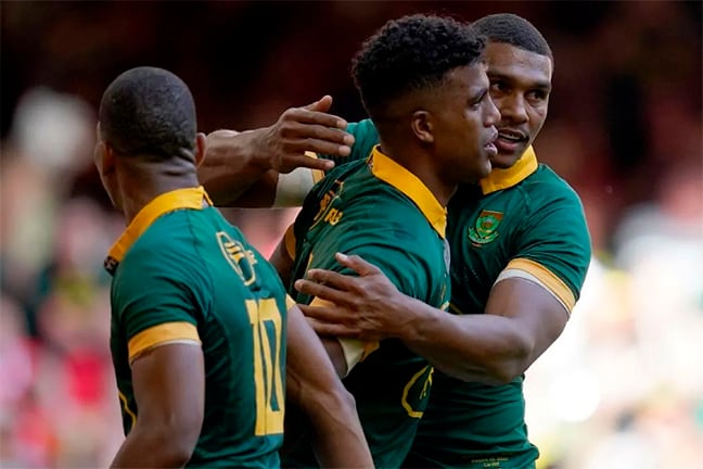 Los springboks no perdonaron a los rumanos.