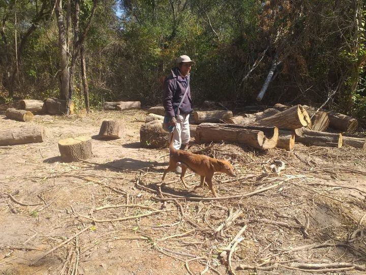 Juan de Dios López, la desolación. 