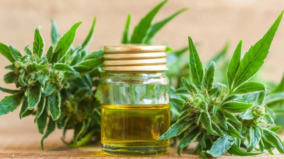 El gobierno "escuchó el pedido de la sociedad“, dijo Salech, de Mamá Cultiva.