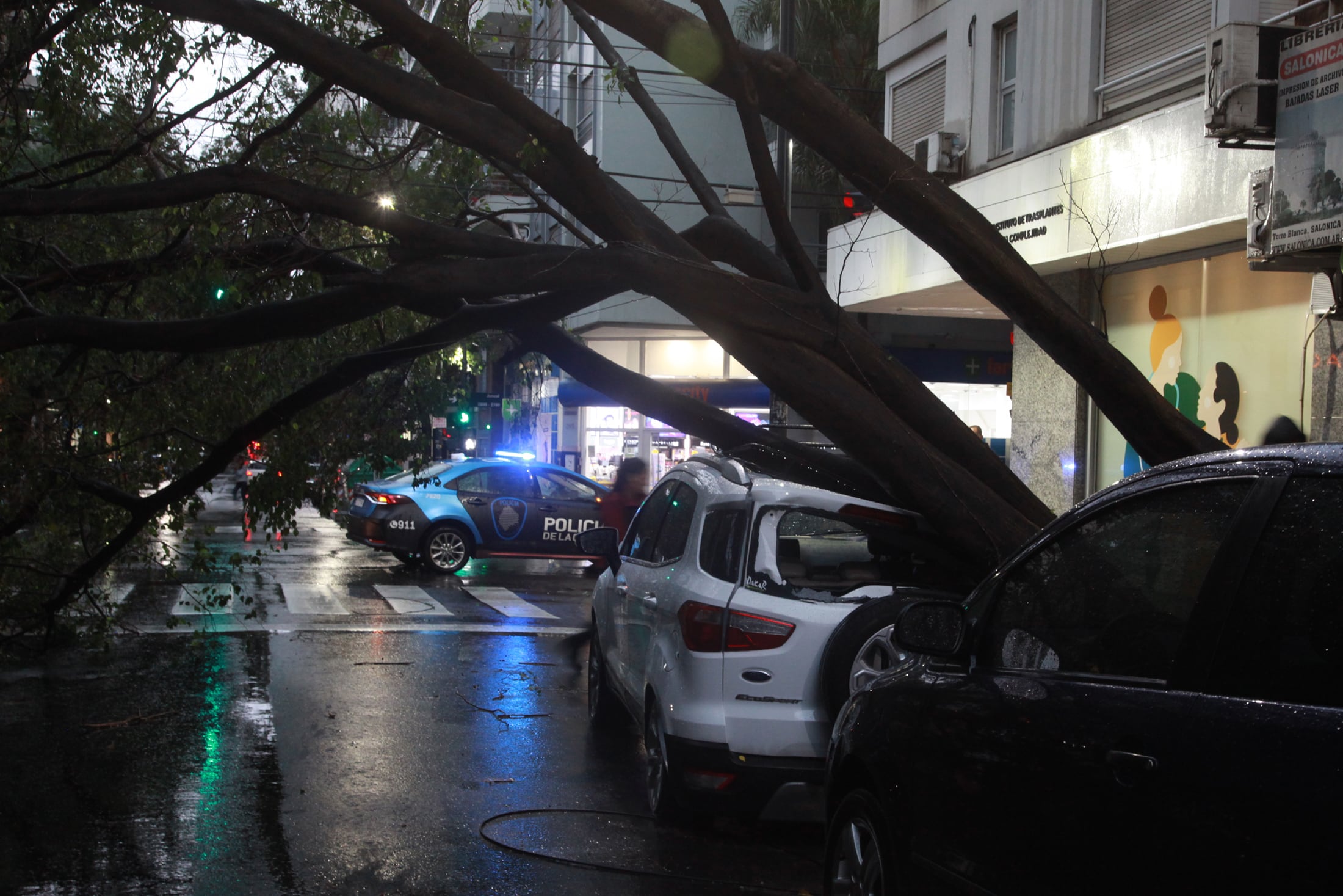 Árboles caídos y barrios anegados, una postal de Buenos Aires tras cada tormenta.