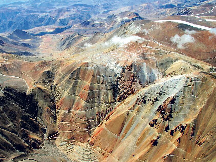 El estudio certificó la “afectación severa de las plantas”.