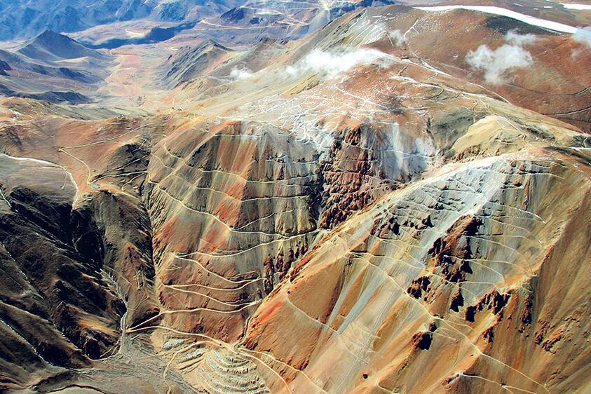 El estudio certificó la “afectación severa de las plantas”.