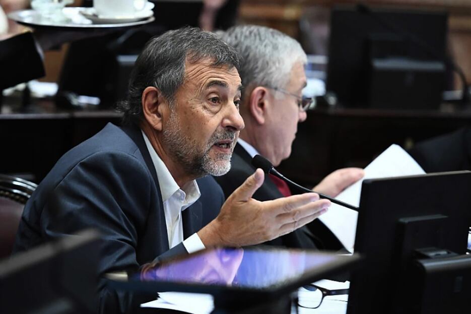 Caserio renunció a la presidencia de su partido.