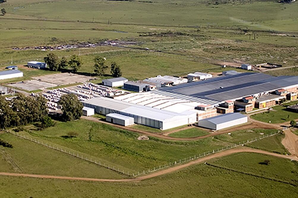 La planta actual de Monte Caseros a la que se le sumará una nueva fábrica. 