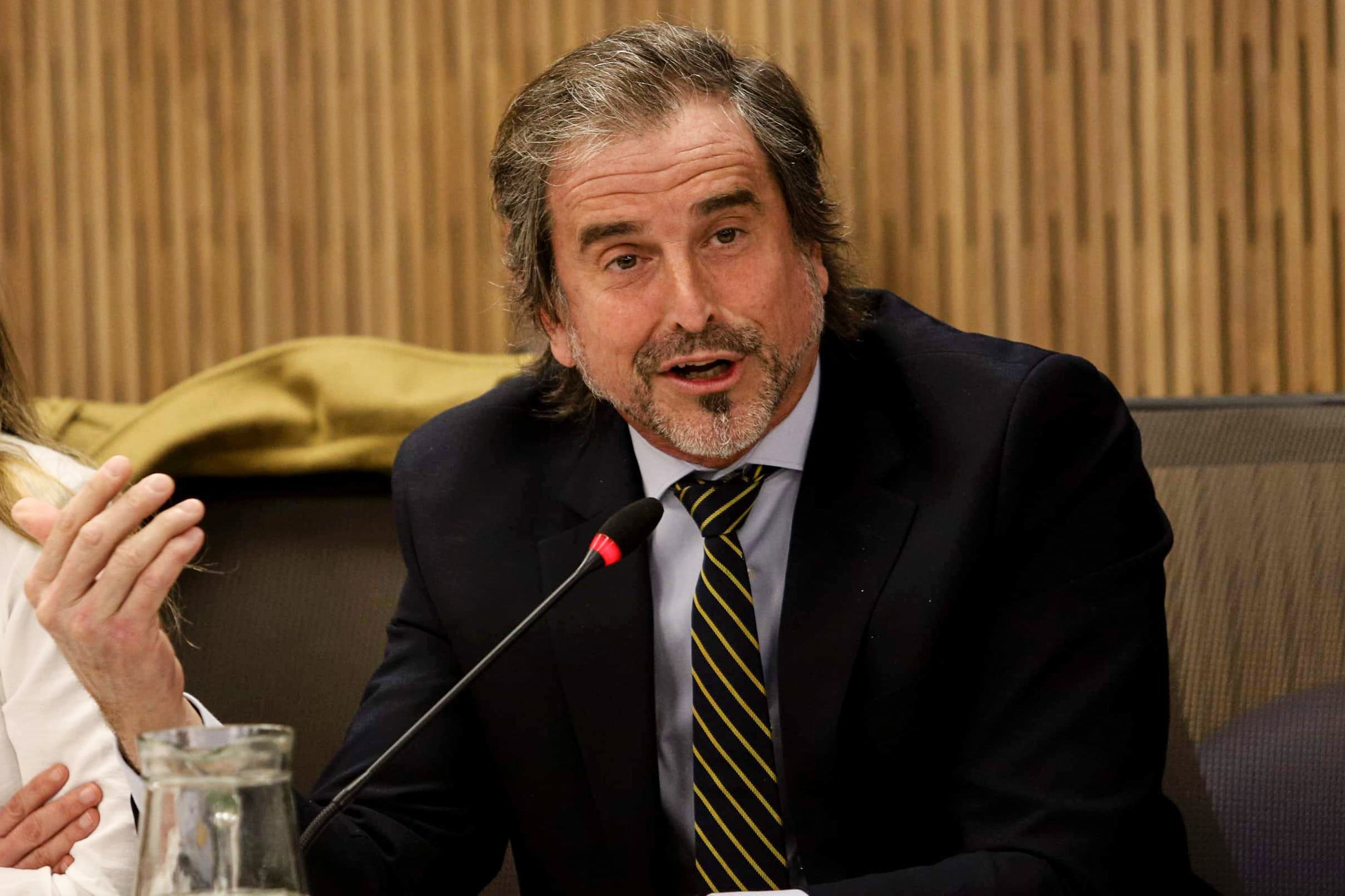 El diputado de La Libertad Avanza, Alberto "Bertie" Benegas Lynch, dio a entender que hubo negociación de votos por lugares en las listas dentro de su partido