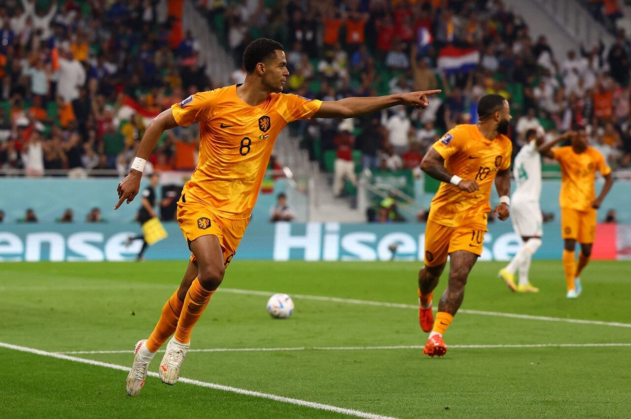 Cody Gakpo festeja en el Países Bajos 2, Senegal 0 del debut